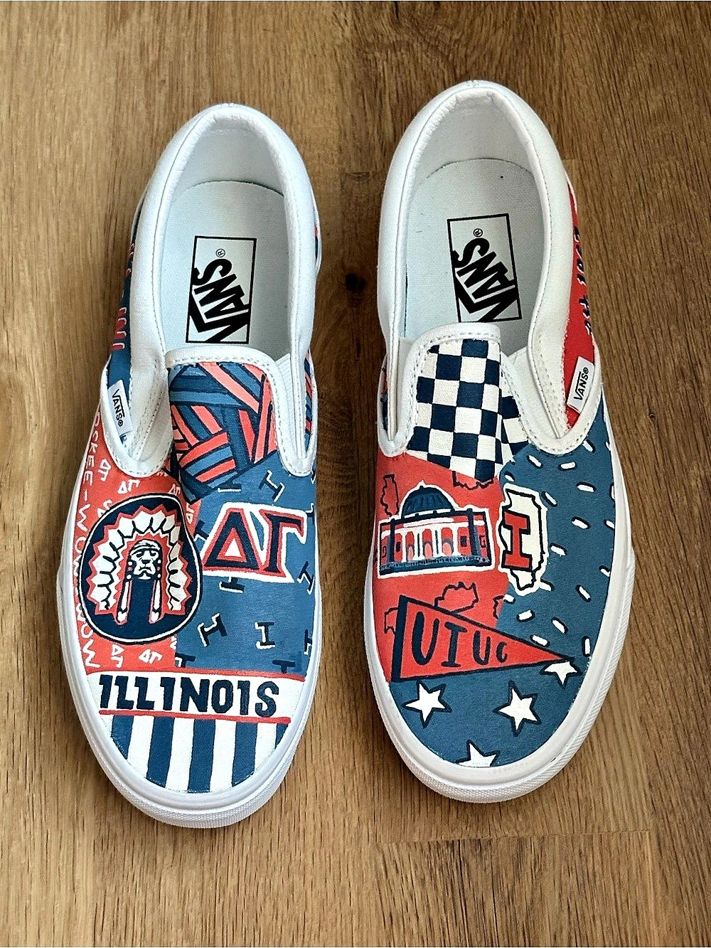 Hand Painted University of Illinois Urban Champaign Vans